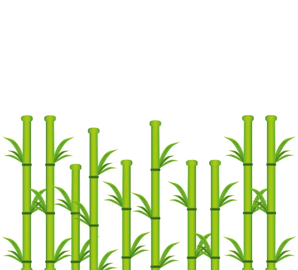 Uppsättning bambu växt naturliga ikon — Stock vektor
