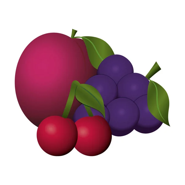 Racimo de uvas cerezas y frutas de manzana — Vector de stock