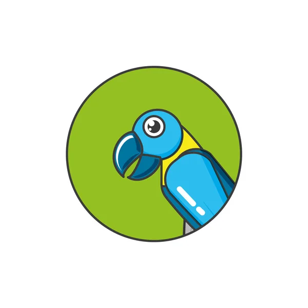 Animal de pássaro de papagaio no quadro circular —  Vetores de Stock