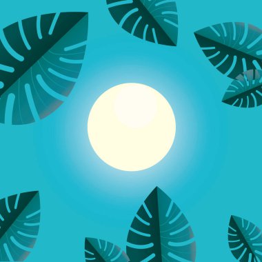 arka plan güneş palmiye mavi parlak yaprakları
