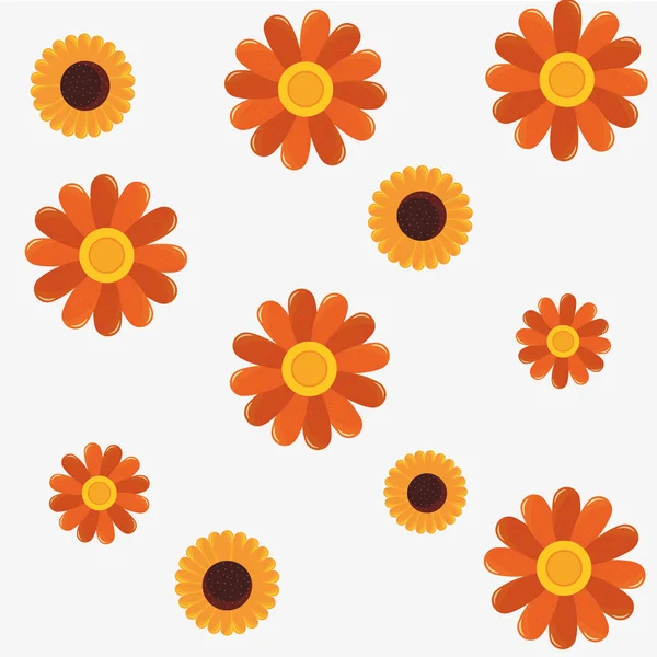 flowers sunflower and daisy decoration background