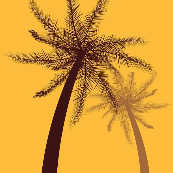 Tropische Palms tree gele achtergrond — Stockvector