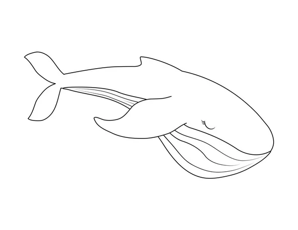 Ikan paus lucu terisolasi ikon - Stok Vektor