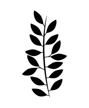 doğal Leafs ile şube