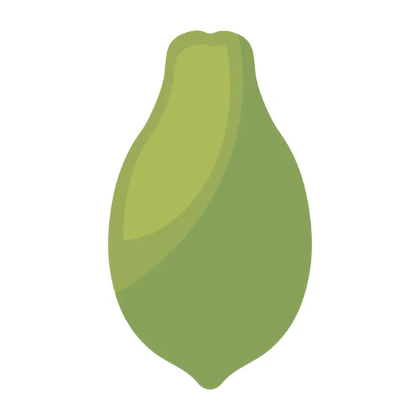 Čerstvým papája ovoce zdravé — Stockový vektor