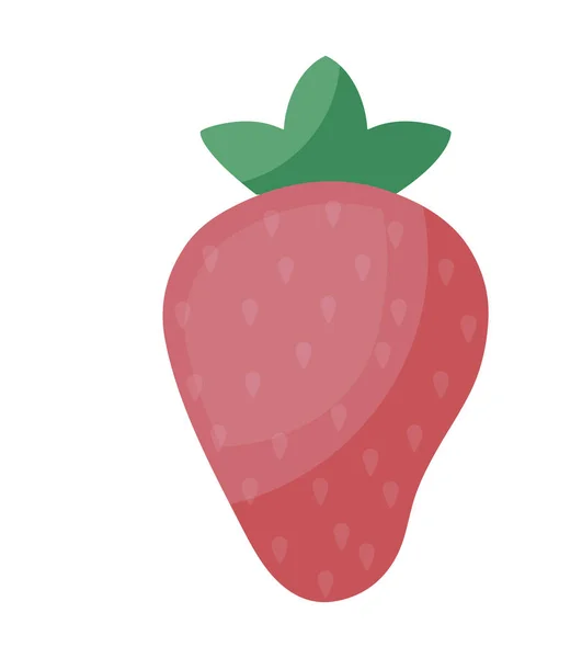 건강 한 딸기 과일 및 조각 — 스톡 벡터