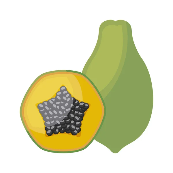 Papaya fresca con rebanadas de frutas saludables — Vector de stock