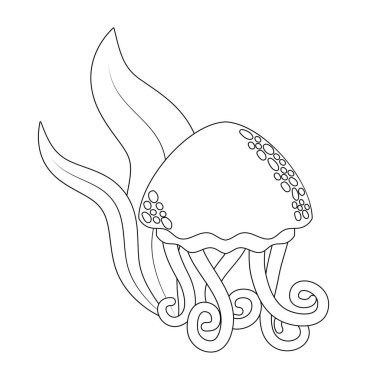 Deniz yosunu ile şirin denizanası