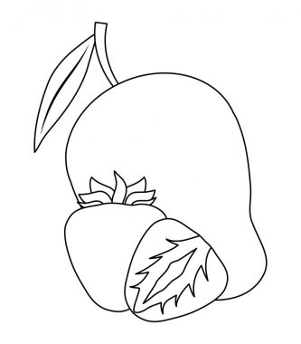 Mango meyveleri ile sağlıklı çilek