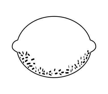 taze turuncu meyve izole simgesi