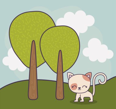 Doğa sevimli kedi hayvan manzara sahne