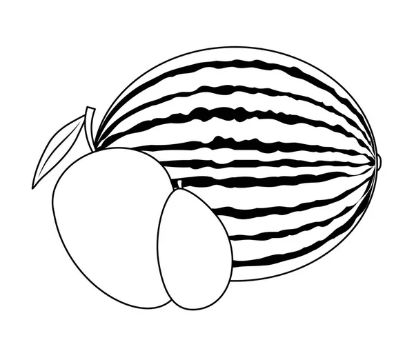 Sandía fresca y saludable con frutas de mangos — Archivo Imágenes Vectoriales