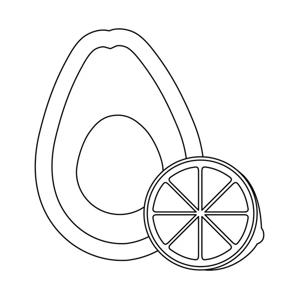 フレッシュアボカドのヘルシースライスレモン — ストックベクタ