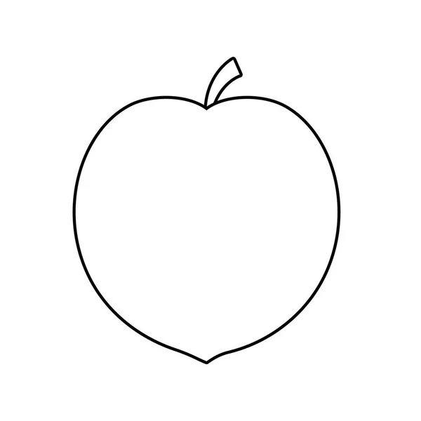 Peach fruit healthy icons — Stock Vector