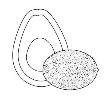 Avokado sağlıklı taze kivi