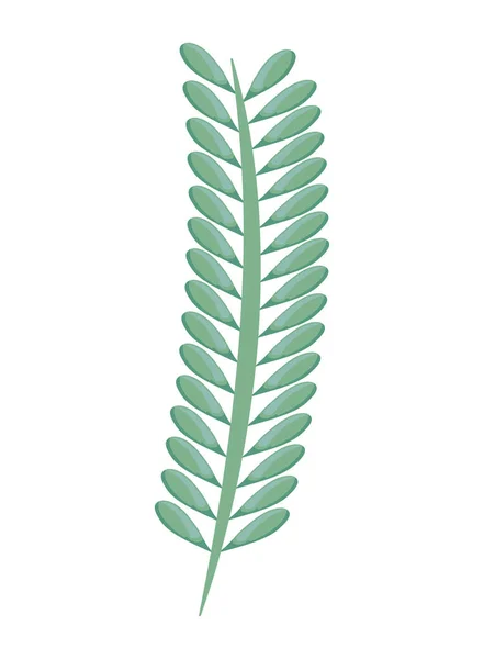 Branche avec feuilles naturelles — Image vectorielle