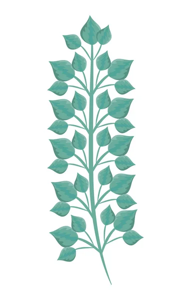 Rama con hojas naturales — Vector de stock