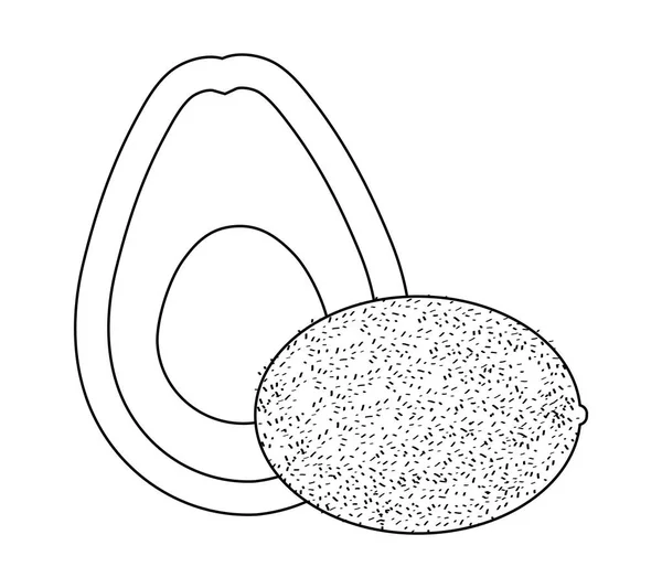 Avokado sağlıklı taze kivi — Stok Vektör