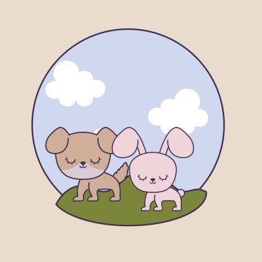 manzara köpek ile sevimli tavşan