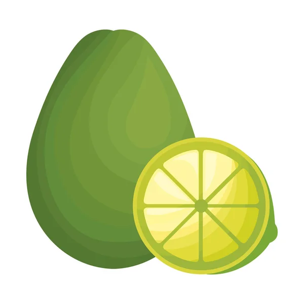 Avocat frais sain avec tranche de citron — Image vectorielle