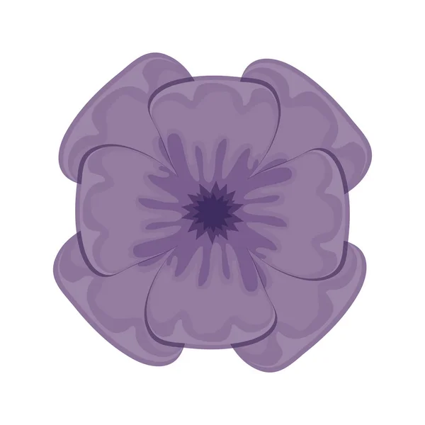 Красива квітка ізольована ікона — стоковий вектор