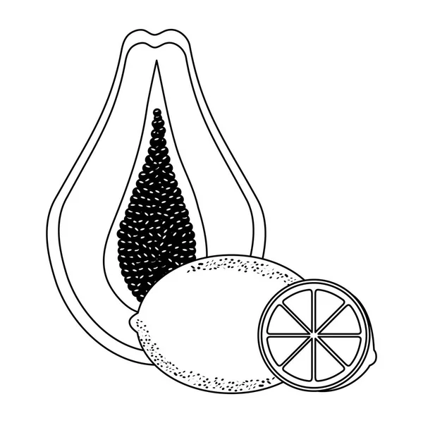 Свежая половина папайи с лимонами фрукты здоровые — стоковый вектор