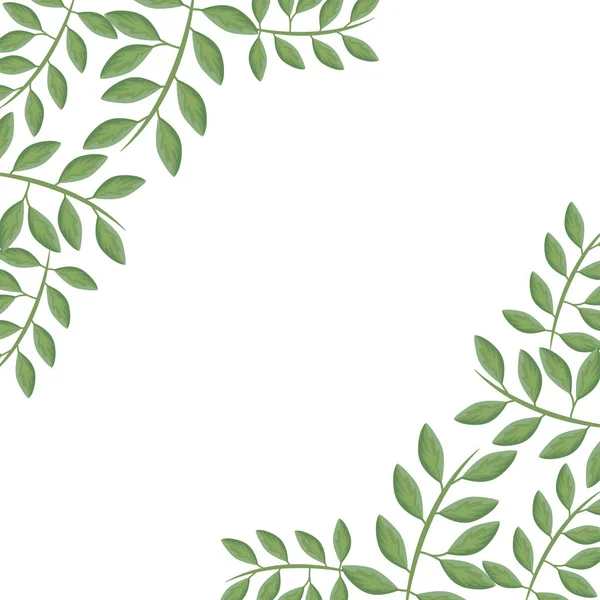 葉の自然と枝のフレーム — ストックベクタ