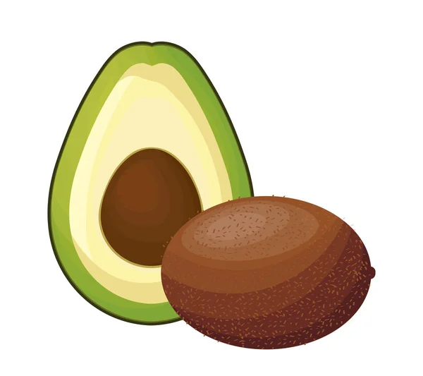 Frische Kiwi mit Avocado gesund — Stockvektor