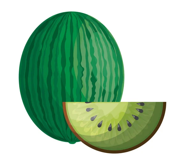 Frische gesunde Wassermelone mit Kiwi-Früchten — Stockvektor