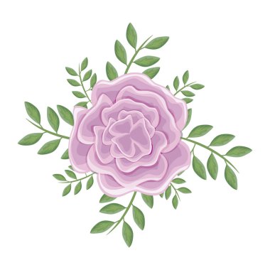 Leafs ile güzel çiçek