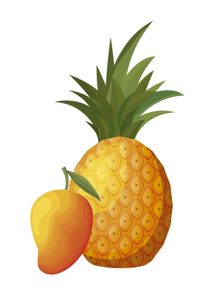 Fresh pineapple with mango fruits — Stock Vector