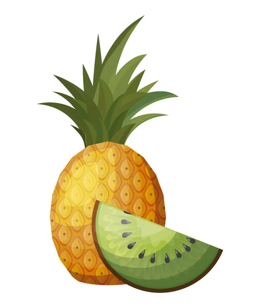 Friss ananász szelet Kiwi gyümölcsök — Stock Vector