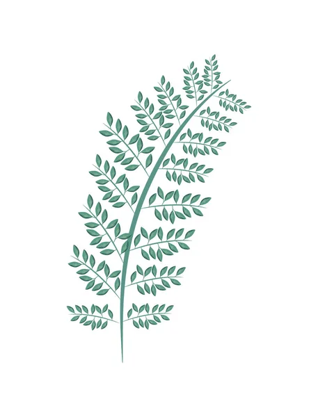 Rama con hojas naturales — Vector de stock