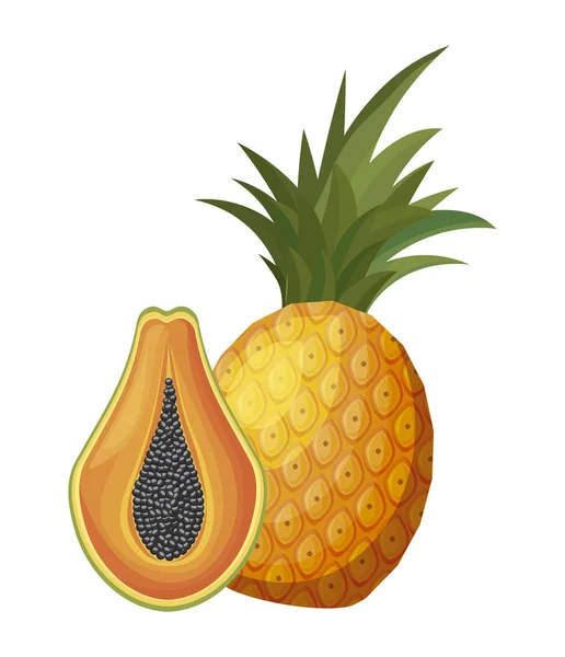 Verse half Papaya met ananas vruchten gezond — Stockvector