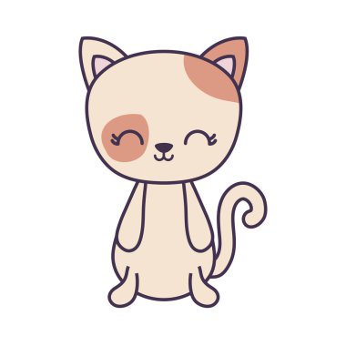 hayvan izole kedi simge sevimli