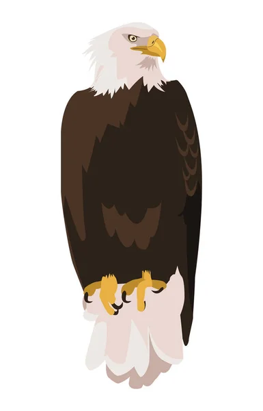 Hermoso animal de águila calva — Vector de stock