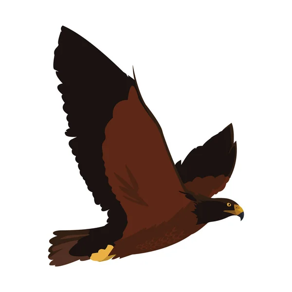 Hermoso águila vuelo majestuoso pájaro — Vector de stock