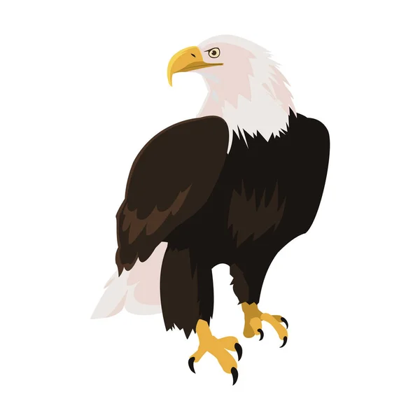 Hermoso animal de águila calva — Archivo Imágenes Vectoriales