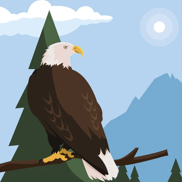 Beautiful bald eagle in tree branch landscape scene — Stock Vector