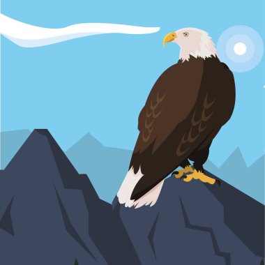 kar manzarası güzel kel kartal hayvan