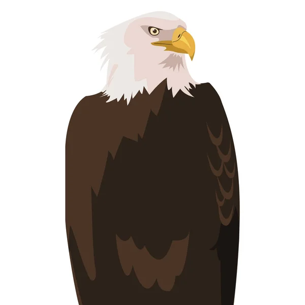 Vackra Bald Eagle Animal — Stock vektor