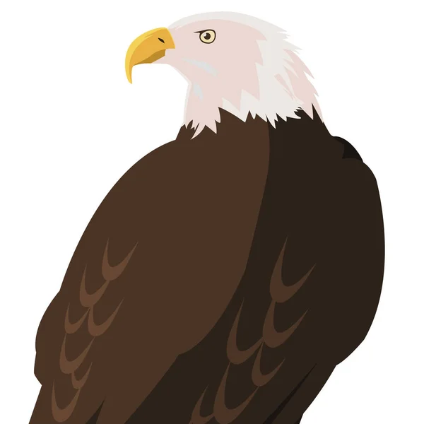 Hermoso animal de águila calva — Archivo Imágenes Vectoriales