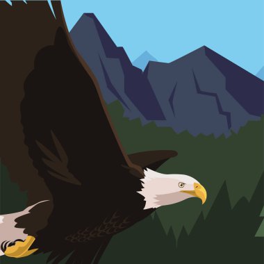 manzara uçan güzel kel kartal