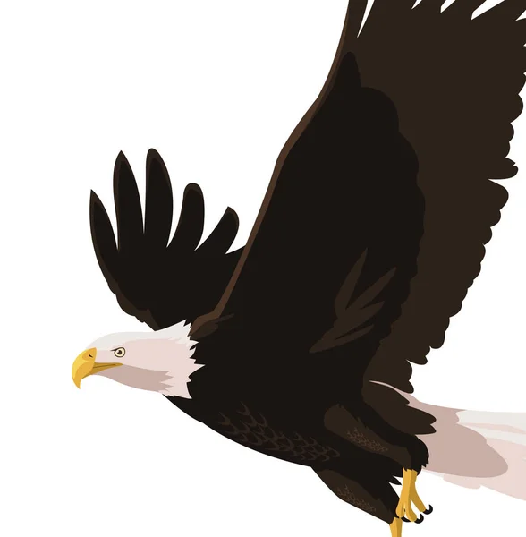 Hermoso águila calva volando — Vector de stock