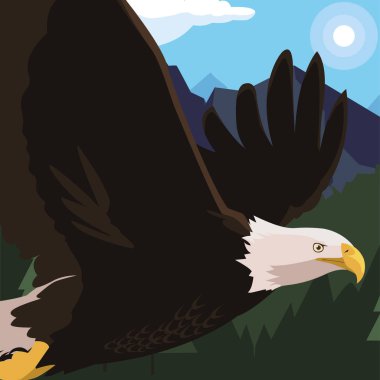 manzara uçan güzel kel kartal