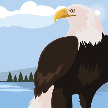 manzara güzel kel kartal hayvan