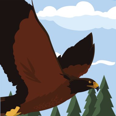 manzara görkemli kuş uçan güzel kartal