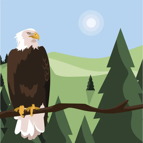 Beautiful bald eagle in tree branch landscape scene — Stock Vector