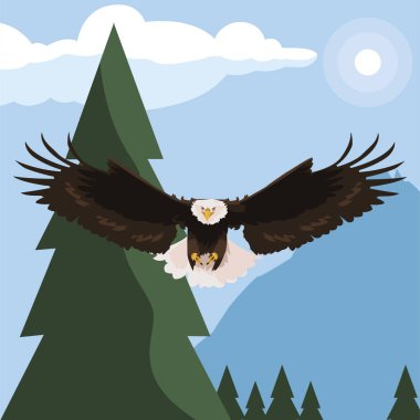 manzara uçan güzel kel kartal