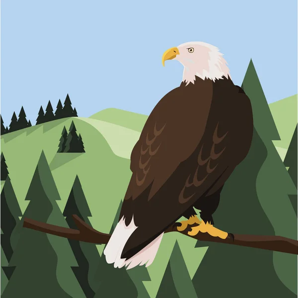 Hermoso águila calva en árbol rama paisaje escena — Vector de stock